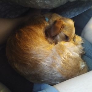 Meet your Posher, Terri